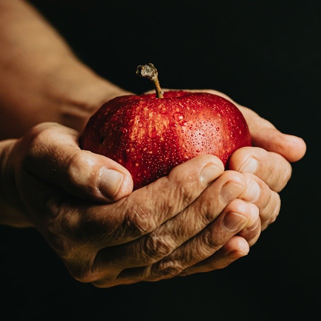 rugged hands lovingly holding an apple
